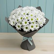Букет цветов из:  Хризантемы в Отказном