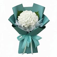 Букет цветов из:  Гортензия в Отказном